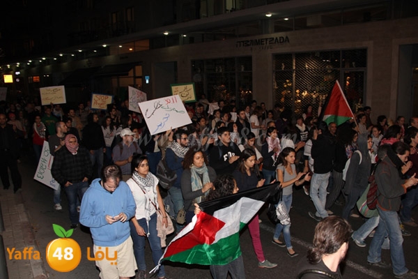 brafer td oi1130 (16).JPG